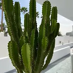 Апартаменты Palmeras Del Sol *