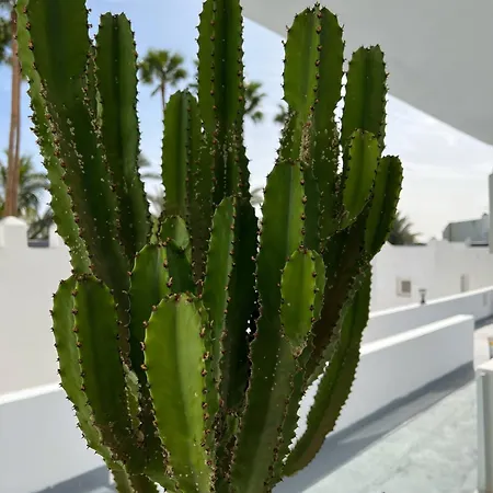Апартаменты Palmeras Del Sol *