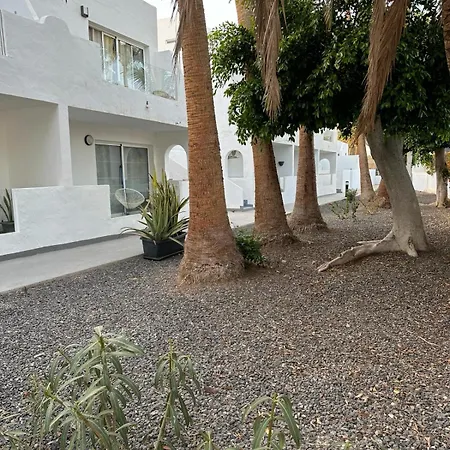 Palmeras Del Sol * Тарахалехо