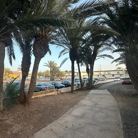 Apartment Palmeras Del Sol *