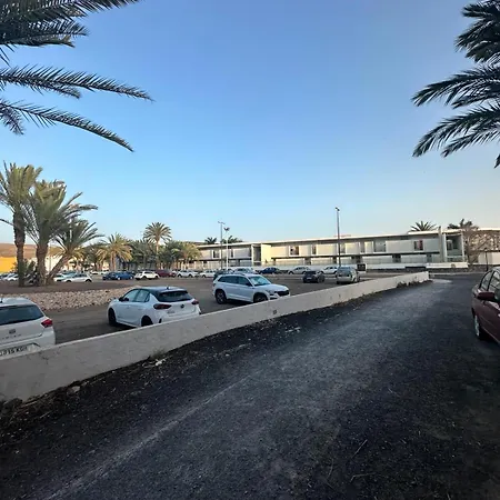 Palmeras Del Sol *